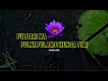Download Lagu Fulbari Ma Fulne Fulako Thunga Timi || Man Lai Pugne Maya || Lyrical Video || Raw Version