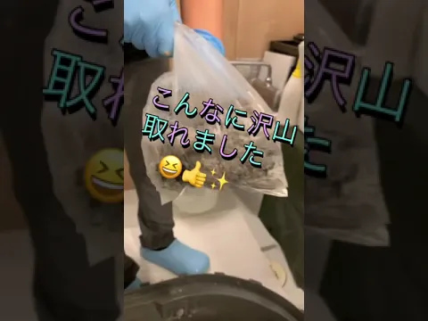 ◎お得な防カビコート無料キャンペーン◎安心の家電メーカー出身★乾燥不良・臭い改善