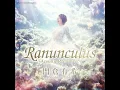 ラナンキュラス - Acoustic RememVer. - - Ranunculus - Acoustic RememVer. - - Yuki Kadokura