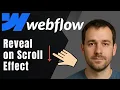 Webflow How to Create Reveal on Scroll Animation Smooth Scroll Interaction
