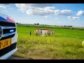 Download Lagu Gewonde motor uit sloot gehaald in Genemuiden