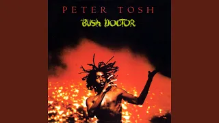bush doctor 2002 remaster