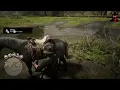 Collecting All Clamshell Orchids in RDR2 A Complete Guide