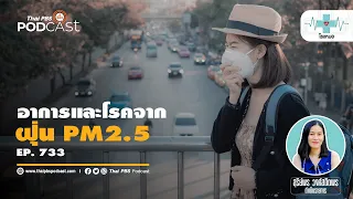 การอยู่ในร่มช่วยลดความเสี่ยงจาก PM 2.5 ได้ไหม