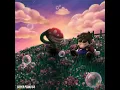 Piranha Plant's Lullaby (Instrumental)
