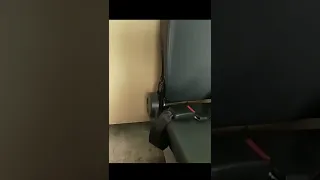                                                                                              دندنها