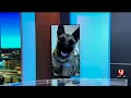 Caddo County K-9 Sniffs Out Meth Suspect Arrested