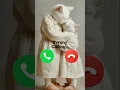 Download Lagu Byrony calling 🤙🏻✨ #ringtone #youtubeshorts #cat #trending #cutecat #youtube #calling #foryou #viral
