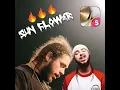 POST MALONE SUN FLOWER SUPER DRUM COVER EDM MODE