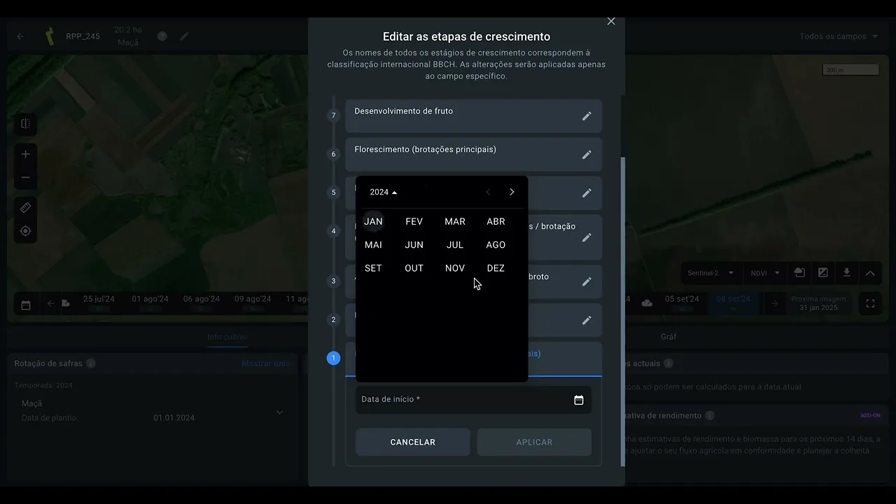 Etapas de crecimiento
