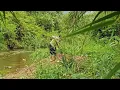 Download Lagu 17-Year-Old Girl Begins a New Life Alone – Embracing Nature in Her Daily Struggles