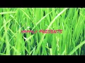 Download Lagu USURAIYA THOLACHE 😍(OWN VIDEO CREATION)K.C.CHINNIAH ,DHANURUBAN
