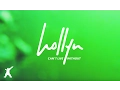 Download Lagu Hollyn - Can't Live Without (Official Audio Video)