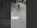 Download Lagu BUKET KURT UN YAŞADIKLARI ÇOK ÜZÜCÜ LİNK AÇIKLAMADA HEMEN BAKIN😲😞