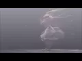 Oceanvs Orientalis - Shchedryc By Mykhola