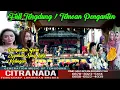Download Lagu PENGANTEN BARU - KELINGAN - NGABDI NING LAKI || CITRA NADA LIVE DS.SEKARDOJA - LARANGAN - BREBES