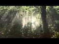 Download Lagu Dias de chuva e sol - Edson Santos e Nelson Botton