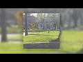 threedimensionsapart - never trying w/ dolly
