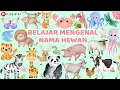 Lagu 100 NAMA HEWAN BAHASA INDONESIA \u0026 BAHASA INGGRIS | BELAJAR NAMA HEWAN BINATANG LEARN OF ANIMALS NAME