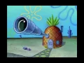 Pat to Sponge