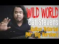 Lagu GUITAR TUTORIAL | Wild World - Cat Stevens (Mr. Big Version)