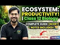 CLASS 12 BIOLOGY Ecosystem - Productivity GPP vs NPP Complete Concept Notes