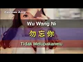 勿忘你 Wu Wang Ni - 龍梅子 \u0026 高安 Long Mei Zi \u0026 Gao An (Tidak Melupakanmu)
