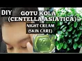 DIY GOTU KOLA CENTELLA ASIATICA NIGHT CREAM SKIN CARE DIY MOISTURIZER PLANT BASED NATURER