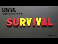 Nightmares On Wax - Survival