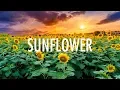 Post Malone Swae Lee - Sunflower