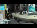 Pelican Shops - Summer