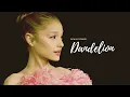 Download Lagu Dandelion - Ariana Grande (1 Hour)