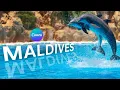 Canva 3D Perspective Text Design with a Reflection Effect l Canva Tutorial