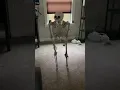 Download Lagu Falling skeleton meme #funny #meme #goofyahh #short