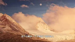 123 3