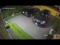 Watch thieves going through vehicles in Lakewood