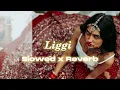 Ritviz - Liggi | Slowed x Reverb | Bass Boosted