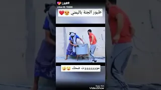 طيور الجنه باليمني قال العزب لامه اخطبيلي بنت احمد ماما دندنها