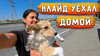 Клайд обрел семью❤️ Зару везем в клинику вместе с Персом, Тиной и Лукасом. Эта неделя была тяжелой.