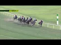 Tampa Bay Downs Live Stream