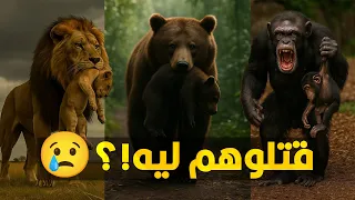 ليه حيوانات كتير بتقتل عيالها وهما لسه صغيرين سر أبشع قوانين الغابة 