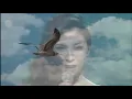 舟唄　／　八代 亜紀