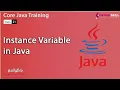 What is an Instance Variable in Java - Beginner to Advanced Level Master Course