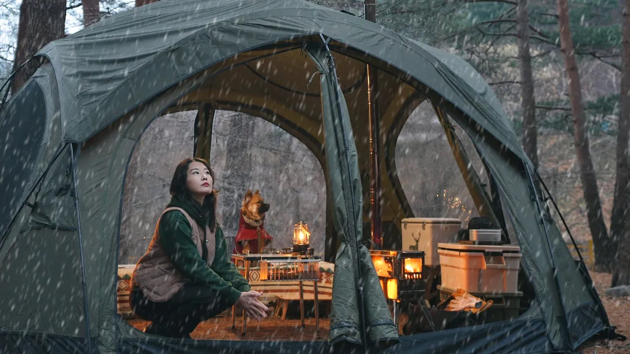 눈이 오는 숲 속. 강아지와 화목난로가 있는 낭만 솔로캠핑⛺️ / 화목난로에 백화수복 중탕해서 마시면 을매나 맛있게요🍶?? / 양양 갈천오토캠핑장 썸네일
