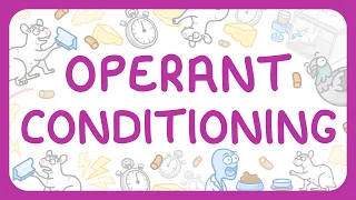 Psychology - Operant Conditioning