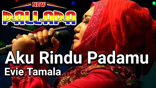 Download New Pallapa Terbaru Evie Tamala Aku Rindu Padamu Live Pelabuhan Kluwut Brebes 2019 MP3