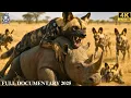 Download Lagu WILD AMBOSELI | Untold Struggles of the Wild in Africa’s Deadliest Arena | Animal Documentary