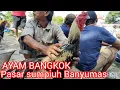 Download Lagu MAUNYA HARGA MURAH TAPI YG BERKELAS AYAM BANGKOK PASAR SUMPIUH