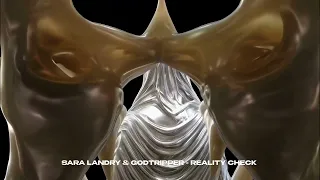 SARA LANDRY GODTRIPPER - REALITY CHECK Visualizer