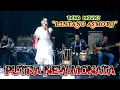 Download Lagu LINTANG ASMORO - RENA MOVIS - PUTRA NEW MONATA - LIVE MUSIC 2024